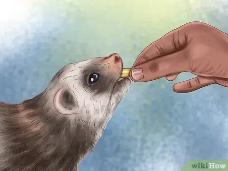 Image titled Prevent Heartworm in Ferrets Step 7