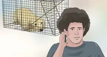 Tell if Your Dog Has Been Abused in the Past