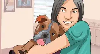 Volunteer at an Animal Shelter