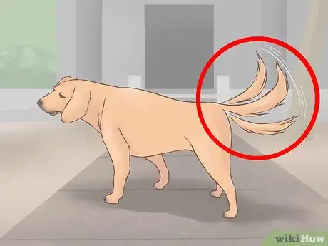 Image titled Become Friends with an Unfriendly Dog Step 19