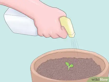Image titled Grow Sage Step 4