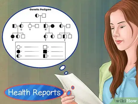 Image titled Choose a Minpin Step 1