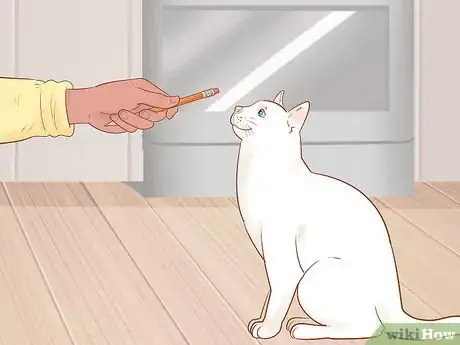 Image titled Target Train a Cat Step 6