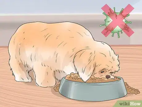 Image titled Treat Canine Periodontal Disease Step 13
