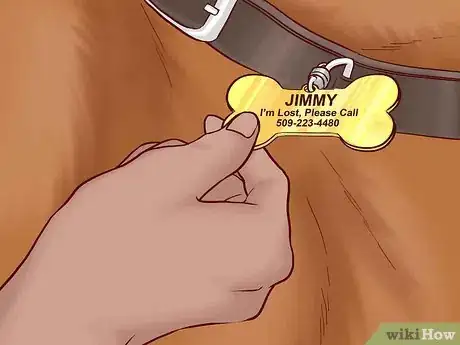 Image titled Keep Your Dog Safe on Halloween Step 9