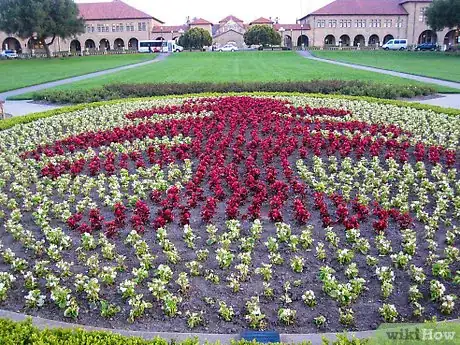 Image titled Join the Football Team Step 2