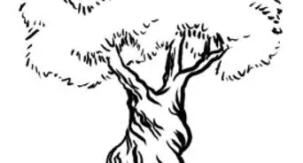 Draw an Olive Tree