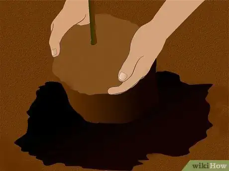 Image titled Plant a Flowering Almond Shrub Step 4