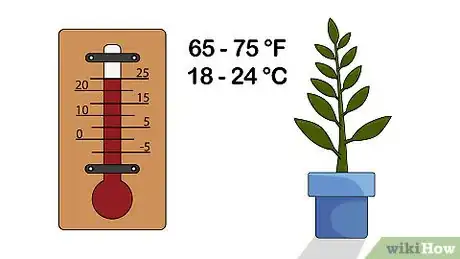 Image titled Grow a Ficus Benjamina Step 14