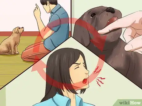 Image titled Get Your Puppy to Stop Biting Step 6