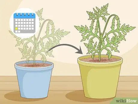 Image titled Take Root Cuttings Step 13