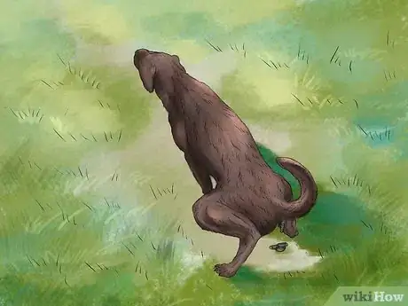 Image titled Keep Your Dog Safe on a Boat Ride Step 14