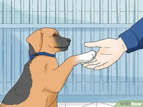 Image titled Help Homeless Animals Step 22