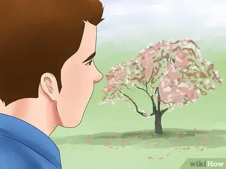 Image titled Care for a Weeping Cherry Tree Step 18