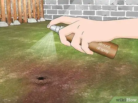 Image titled Get Rid of Bumble Bee Nests in the Ground Step 5