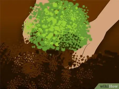 Image titled Plant a Flowering Almond Shrub Step 3