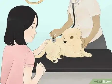 Image titled Buy a Purebred Puppy Step 12