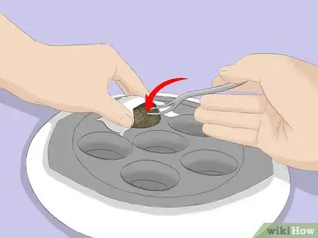 Image titled Eat Escargot Step 4