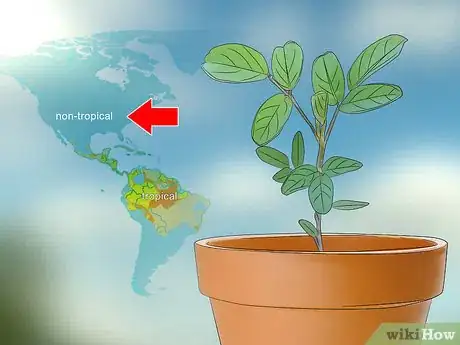 Image titled Grow Indigo Step 10