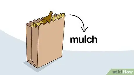 Image titled Grow Calla Lilies Step 21