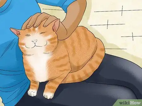 Image titled Spot and Treat Feline Asthma Step 6