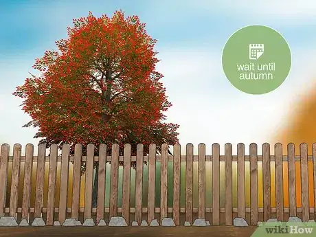 Image titled Get Rid of Bumble Bee Nests in the Ground Step 7