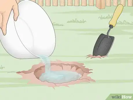 Image titled Plant Trees Near a Home without Damaging Your Foundation Step 9