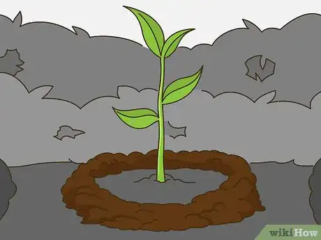 Image titled Grow Vegetables in the South (USA) Step 18