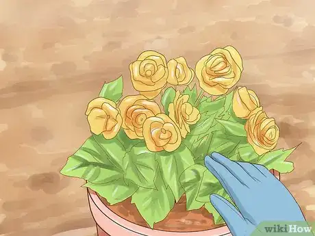 Image titled Grow Miniature Houseplants Step 11