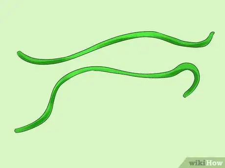 Image titled Make a Pumpkin Wreath Step 15