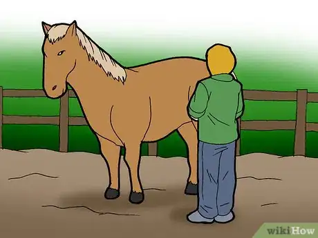 Image titled Exercise a Fat Pony to Help Weight Loss Step 6