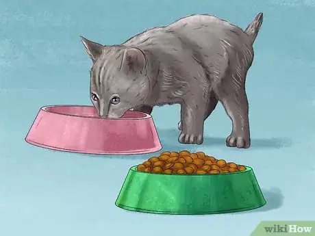 Image titled Feed a Fussy Cat Step 8