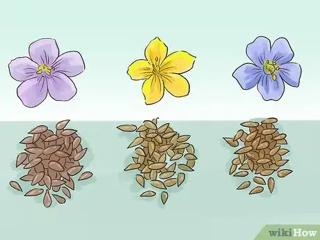 Image titled Grow Flax from Seed Step 1