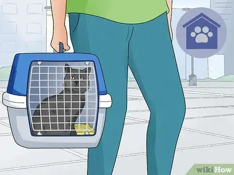 Image titled Help Homeless Animals Step 13