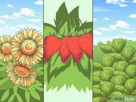 Image titled Make a Tower Garden Step 5