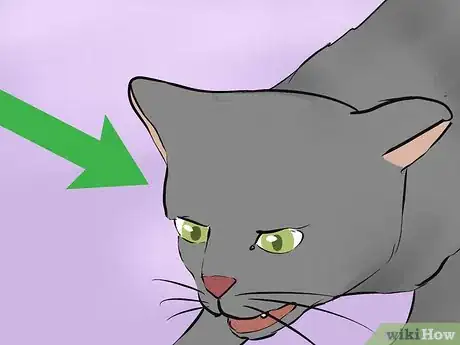 Image titled Calm an Aggressive Cat Step 13
