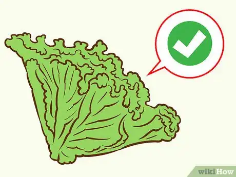 Image titled Buy Salad Greens Step 8
