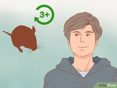 Image titled Know if a Pet Mouse Is Right for You Step 9