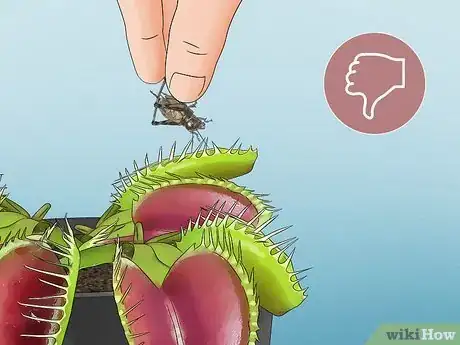 Image titled Feed Carnivorous Plants Step 4