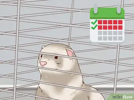 Image titled Diagnose and Treat Epizootic Catarrhal Enteritis in Ferrets Step 11
