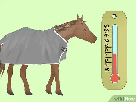 Image titled Measure for a Horse Blanket Step 17