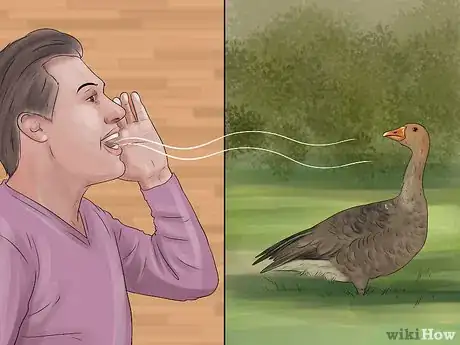 Image titled Train Ducks Step 11