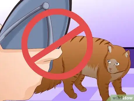 Image titled Train an Outdoor Cat to Use a Litter Box Step 12