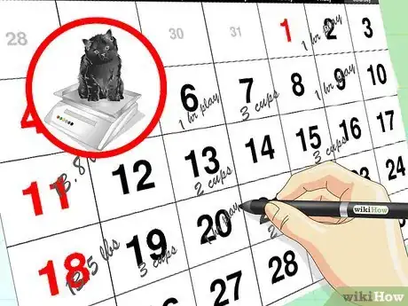 Image titled Care for an Overweight Cat Step 3