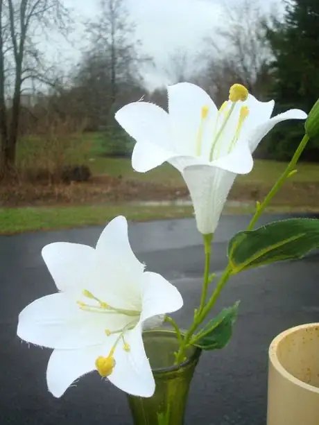 Image titled Silklilies2views