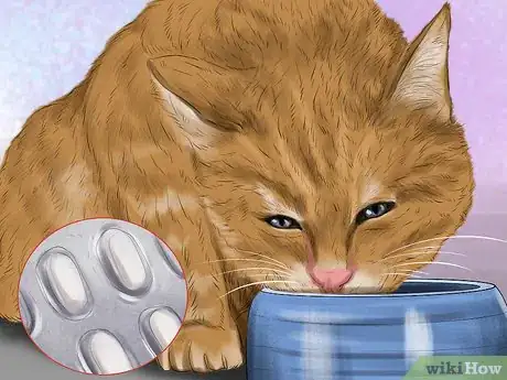 Image titled Treat Seasonal Allergies in Cats Step 10