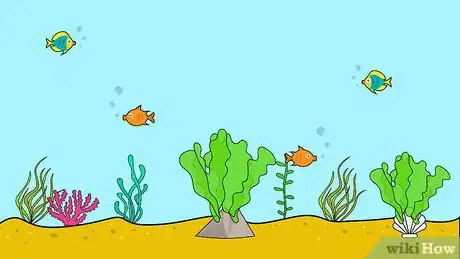 Image titled Grow Ulva Algae Step 11