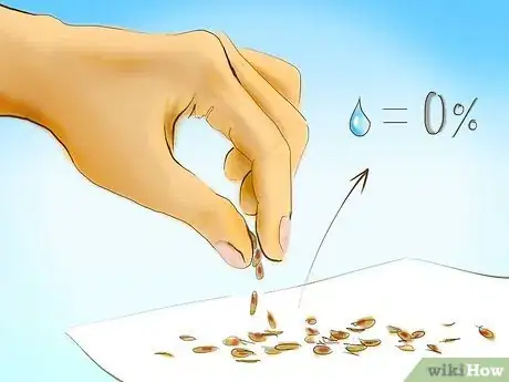 Image titled Plant Tomatoes from Seed Step 12