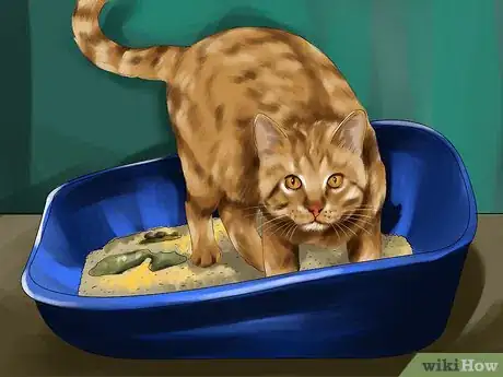 Image titled Supplement Taurine for Cats Step 6