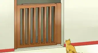 Kitten Proof Your Home